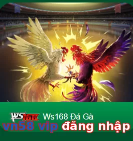 vn58 vip đăng nhập